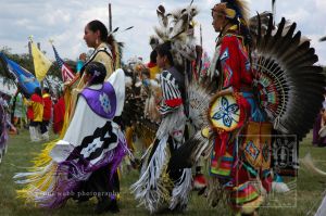 Pow Wow 164dpi 72wm.jpg